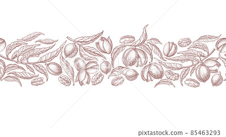 Pecan seamless pattern. Vector border, graphic Pecan seamless pattern. Vector border, graphic 85463293