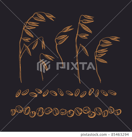 Oats seed, flakes, spica set. Graphic drawn sketch 85463294