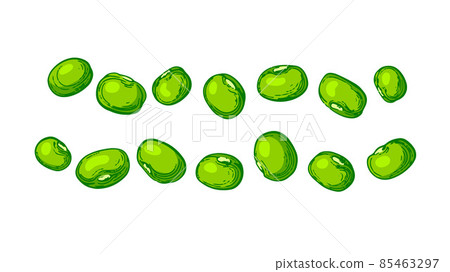 Pile of mung beans. Vector set. Green maash shape Pile of mung beans. Vector set. Green maash shape 85463297