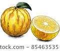 水彩風格，柚子配料圖 85463535