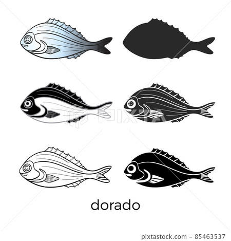 Set of sea fish on white background. Dorado. Vector shape. 85463537