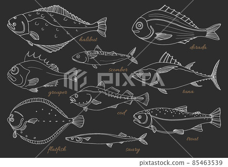 Set of sea fish. Seafood. Vector sketch 85463539