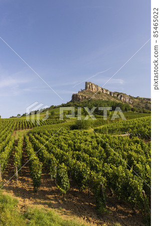 Rock of Solutre with vineyards, Burgundy, Solutre-Pouilly, France Rock of Solutre with vineyards, Burgundy, Solutre-Pouilly, France 85465022