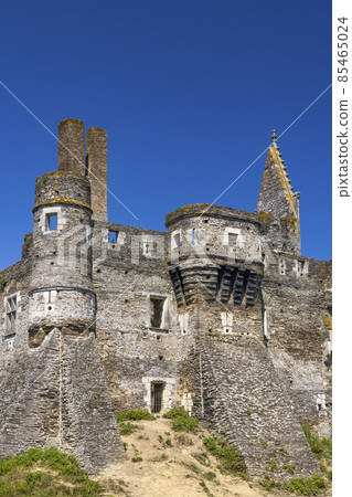 Chateau du Plessis Mace, Pays de la Loire, France 85465024