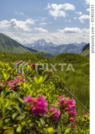 Typical alpine landscape in early summer near Damuls, Vorarlberg, Austria Typical alpine landscape in early summer near Damuls, Vorarlberg, Austria 85465033