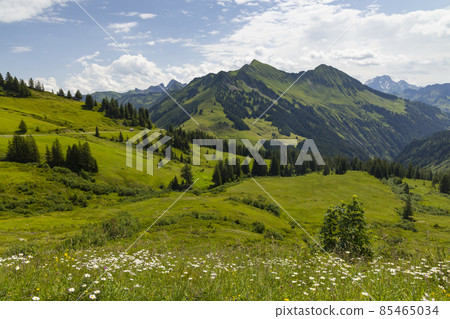 Typical alpine landscape in early summer near Damuls, Vorarlberg, Austria Typical alpine landscape in early summer near Damuls, Vorarlberg, Austria 85465034