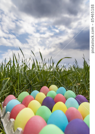 Easter still life with colored eggs Easter still life with colored eggs 85465188