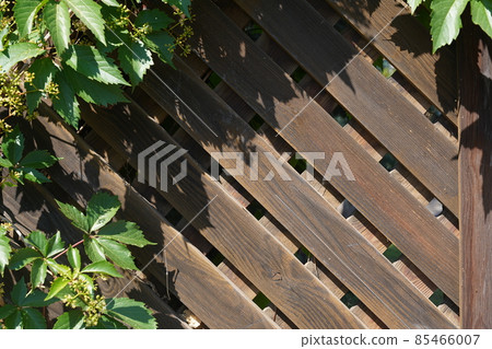 Foliage of wild grapes on an antique wooden background with space to copy. The wooden wall of the old village fence. High quality photo 85466007