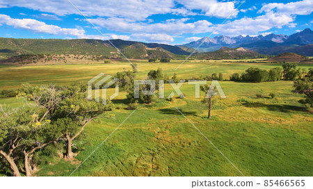 Isolated tree in large grass field and mountain range in background Isolated tree in large grass field and mountain range in background 85466565