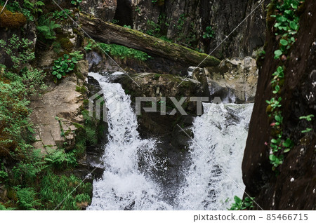 Estyube Waterfall at Lake Teletskoye in the Altai Mountains. Estyube Waterfall at Lake Teletskoye in the Altai Mountains. 85466715