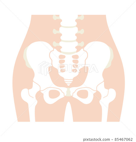 No human body (pelvic) characters 85467062