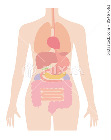 人體(器官/器官)特徵無 人體(器官/器官)特徵無 85467063
