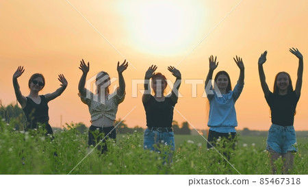 Girls friends waving their hands to the setting sun on the background of the sunset. 85467318