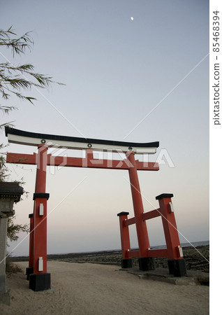 夕陽下的青島神社 85468394