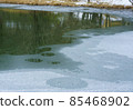 A view of the opposite bank reflected in a pond covered with thin ice 85468902