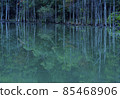 The surface of the lake reflecting the trees shown in the early morning of the calm autumn 85468906