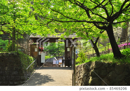 Yamato City Izumi no Mori Gate and fresh greenery of a folk house 85469206