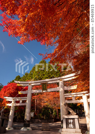 Chichibu Mitsumine Shrine of autumn leaves 85469915