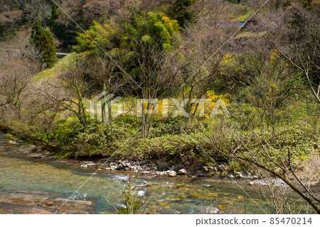 Clear stream in spring and color of the shore Nature near the fossil bed of Takakuma oyster shells in Nozumi River, Toyama Prefecture a 85470214