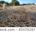 農業深秋,田間收割,秋地 農業深秋,田間收割,秋地 85470287