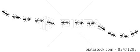 Ants marching in trail. Ant path isolated in white background. Vector illustration 85471295