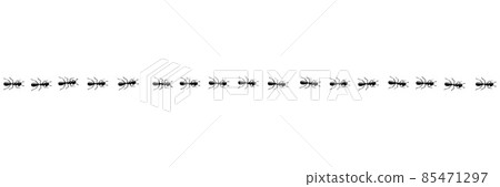Ants marching in trail. Ant path isolated in white background. Vector illustration Ants marching in trail. Ant path isolated in white background. Vector illustration 85471297