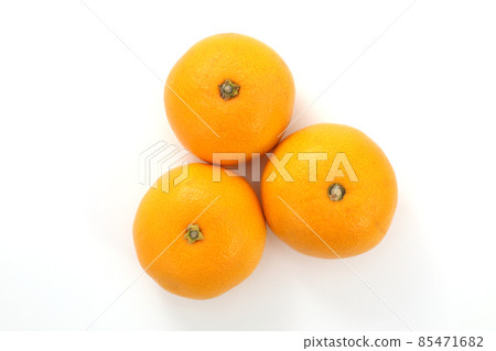 Hassaku orange Hassaku orange 85471682