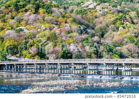 Kyoto Arashiyama-Spring Togetsu Bridge- 85472018