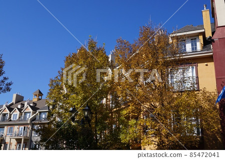 Laurentian Mountains Canada Tran Blanc 村莊建築和秋葉 Laurentian Mountains Canada Tran Blanc 村莊建築和秋葉 85472041