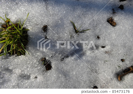 雪和腳印 85473176