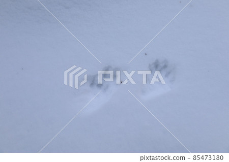 雪和腳印 雪和腳印 85473180