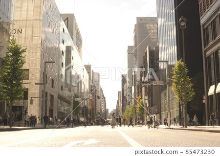 The streets of Ginza 85473230