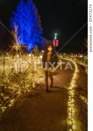 茨城縣石岡市 茨城縣花卉公園的燈飾和女兒們 85473274