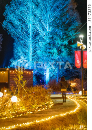 Ishioka City, Ibaraki Prefecture Illuminations and daughters at Flower Park, Ibaraki Prefecture 85473276
