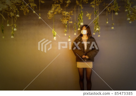 Ishioka City, Ibaraki Prefecture Illuminations and daughters at Flower Park, Ibaraki Prefecture 85473385