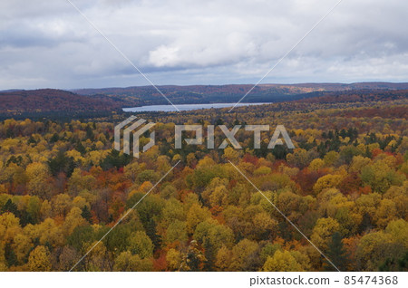 Algonquin Provincial Park, Canada View from Lookout Trail Observatory Algonquin Provincial Park, Canada View from Lookout Trail Observatory 85474368