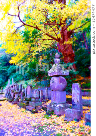 位於鎌倉古寺日蓮宗主山明本寺境內的比木氏紀念塔。 85474477