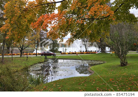 加拿大維多利亞女王公園的秋葉 85475194