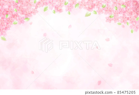 Background illustration of leaf cherry blossoms Background illustration of leaf cherry blossoms 85475205