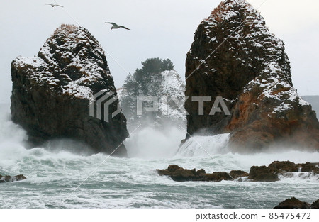 冬天的日本海波濤洶湧 85475472