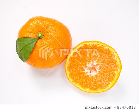 Mandarin orange Mandarin orange 85476818
