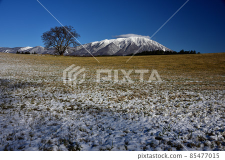 Overlooking Mt. Iwate with snow from Koiwai Farm Overlooking Mt. Iwate with snow from Koiwai Farm 85477015