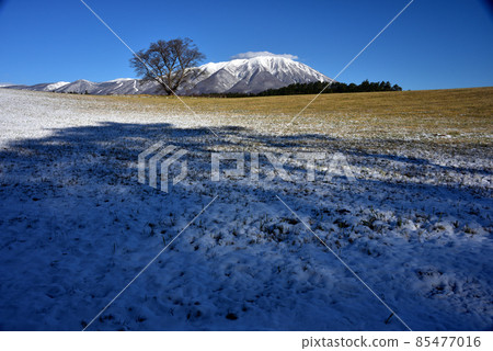 Overlooking Mt. Iwate with snow from Koiwai Farm Overlooking Mt. Iwate with snow from Koiwai Farm 85477016