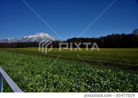從小岩井農場遠眺岩手山 從小岩井農場遠眺岩手山 85477029