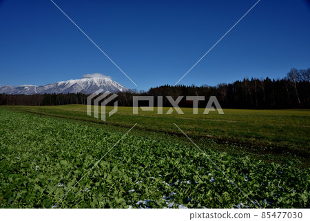 從小岩井農場遠眺岩手山 從小岩井農場遠眺岩手山 85477030