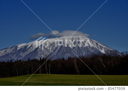 從小岩井農場遠眺岩手山 85477039