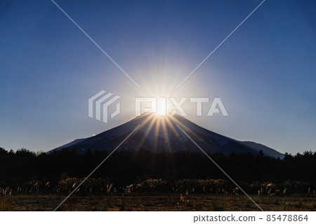 Diamond Fuji from Yamanashi Hananomiya Park 85478864