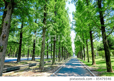 Nature Nature 85479346