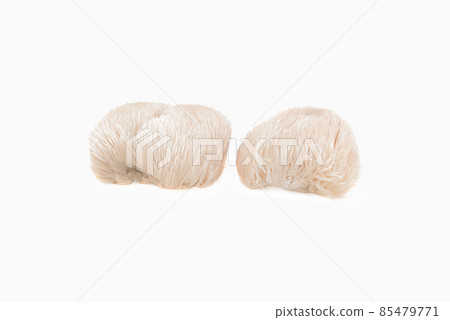 lion mane mushroom isolated on white background. lion mane mushroom isolated on white background. 85479771