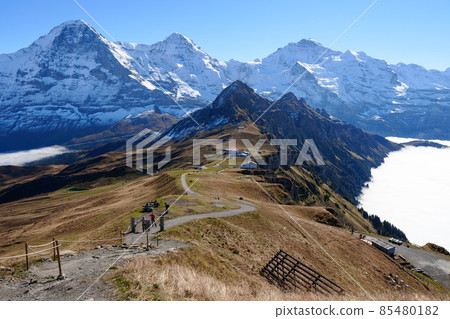 Alps seen from Menrichen, Switzerland (Eiger, Mönch, Jungfrau) 85480182